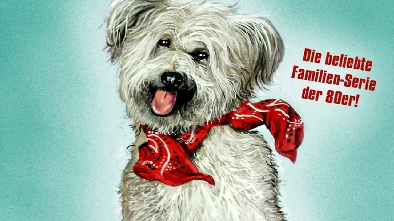 Here's Boomer (1981)