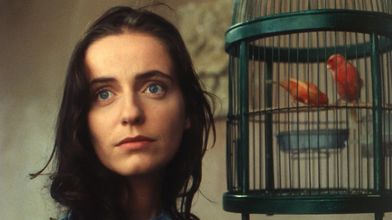 Abraham's Valley (1993)