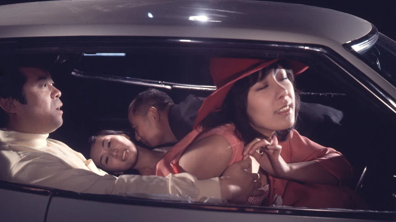 Sex Highway: Woman's Parking Lot (1974)