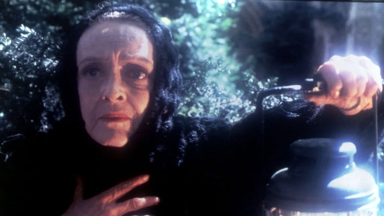 The Watcher in the Woods (1980)