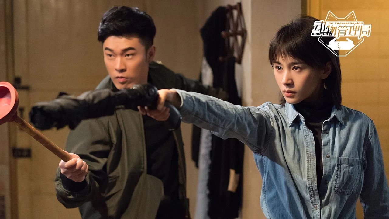 Bureau of Transformer (2019)
