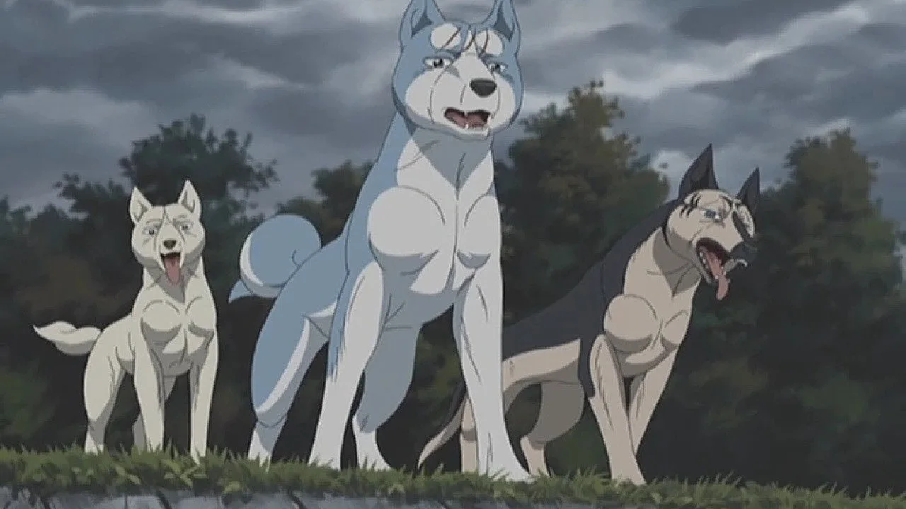 Silver Fang Legend Weed (2005)