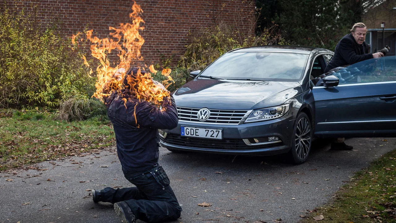 Wallander 31 - The Arsonist (2013)