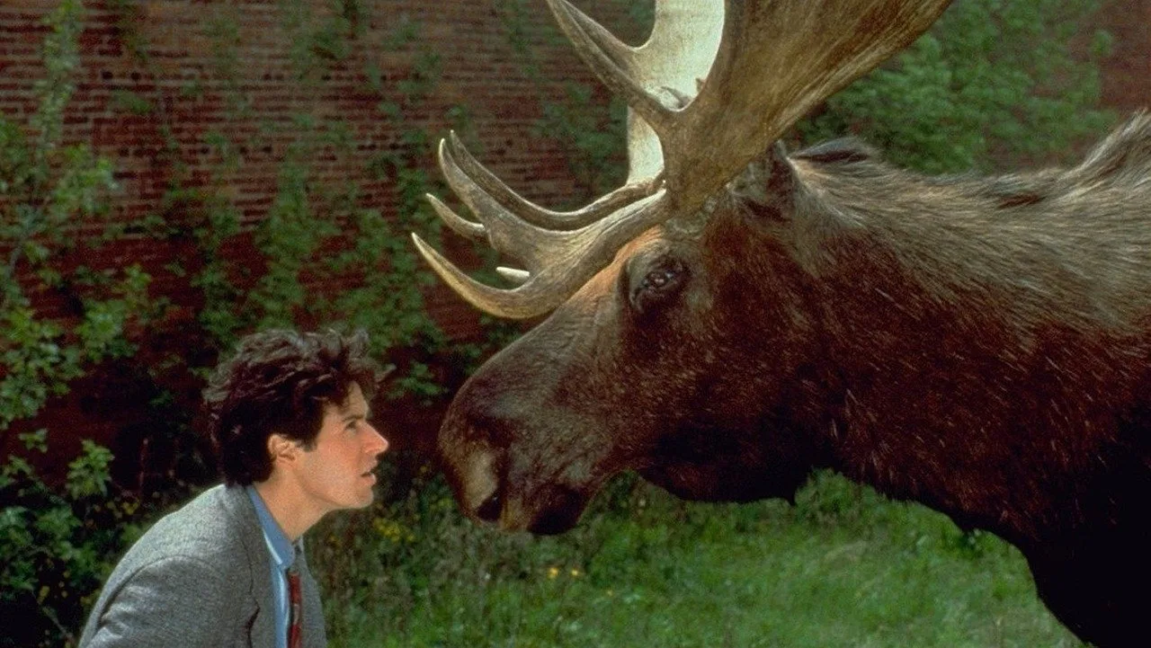 Northern Exposure (1990)