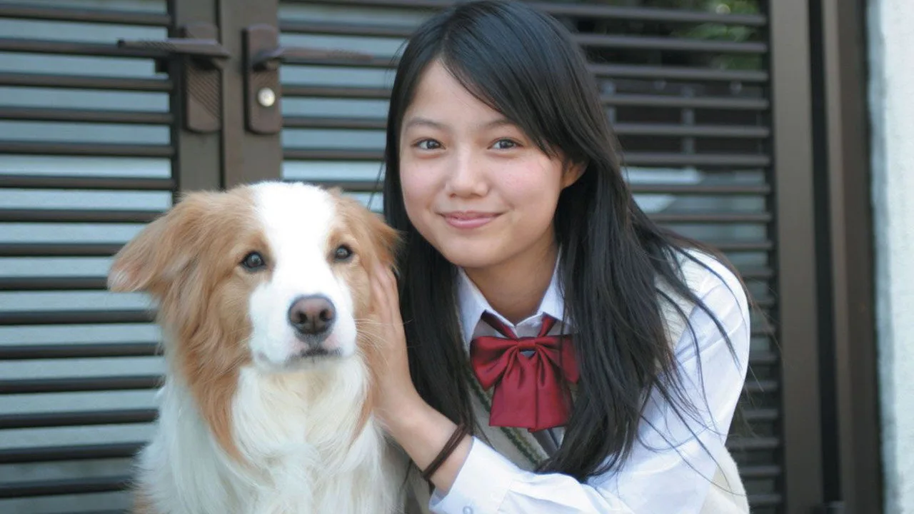 All About My Dog (2005)