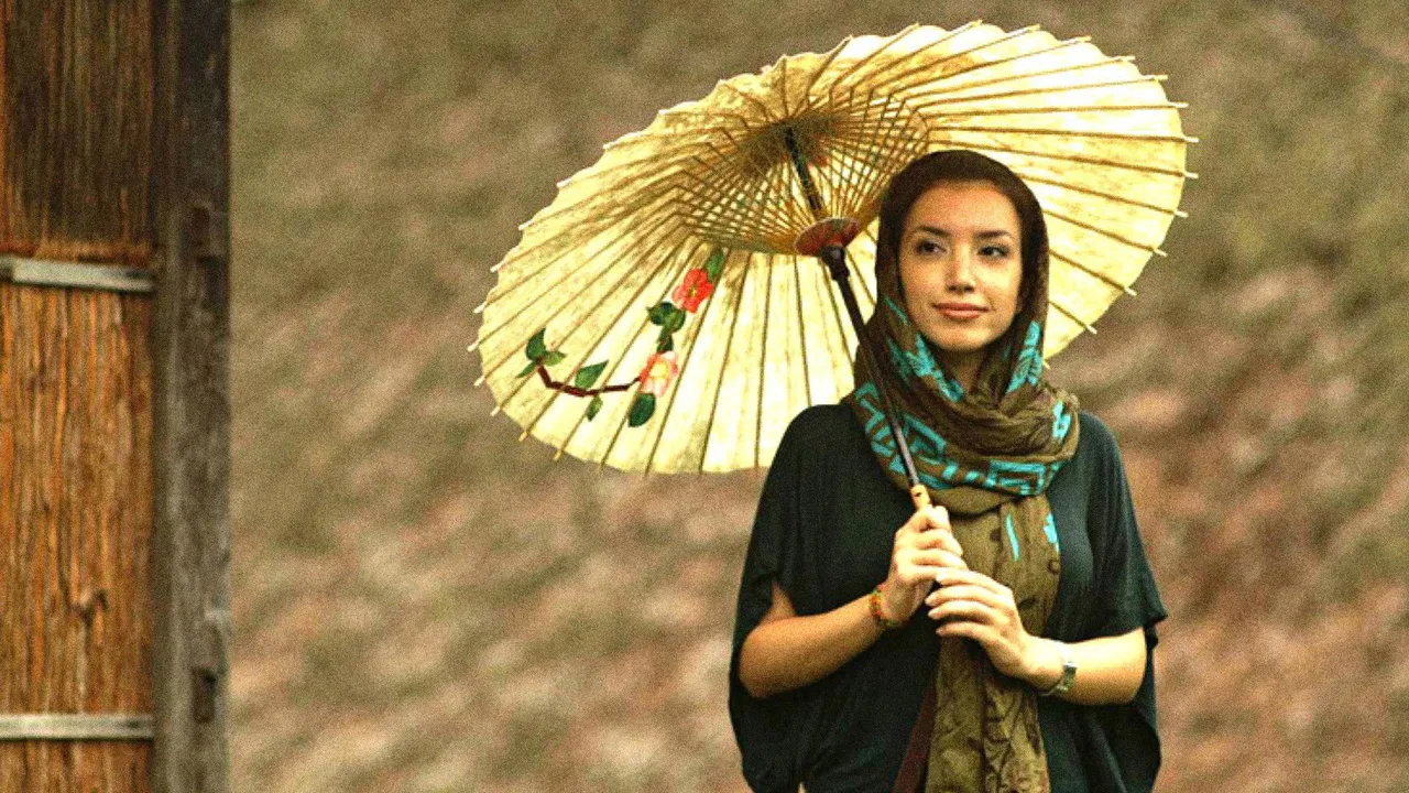 Journeys in Japan (2010)