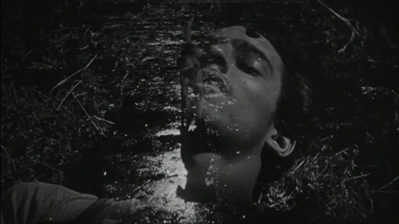 The Young and the Damned (1950)