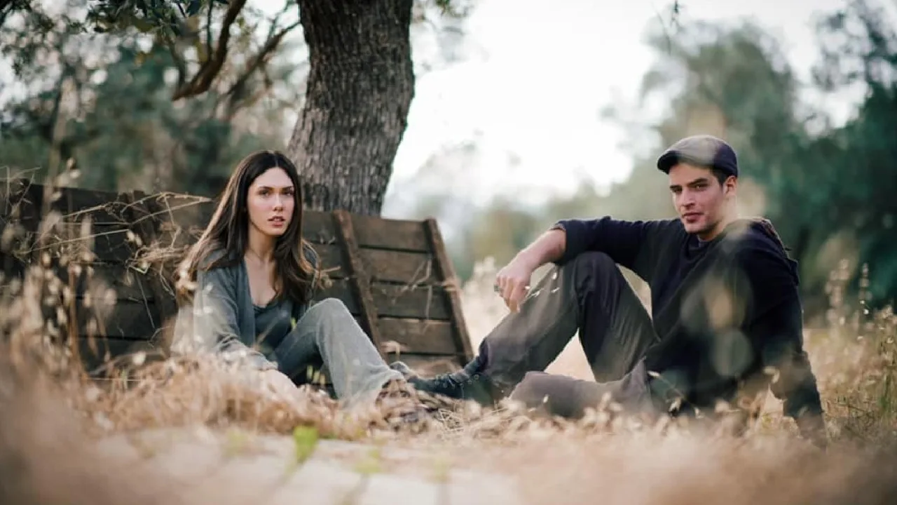 Olive Land (2021)