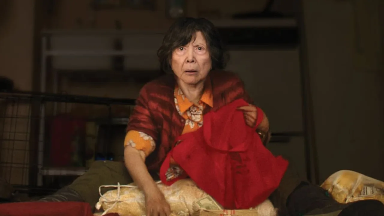 Lucky Grandma (2020)