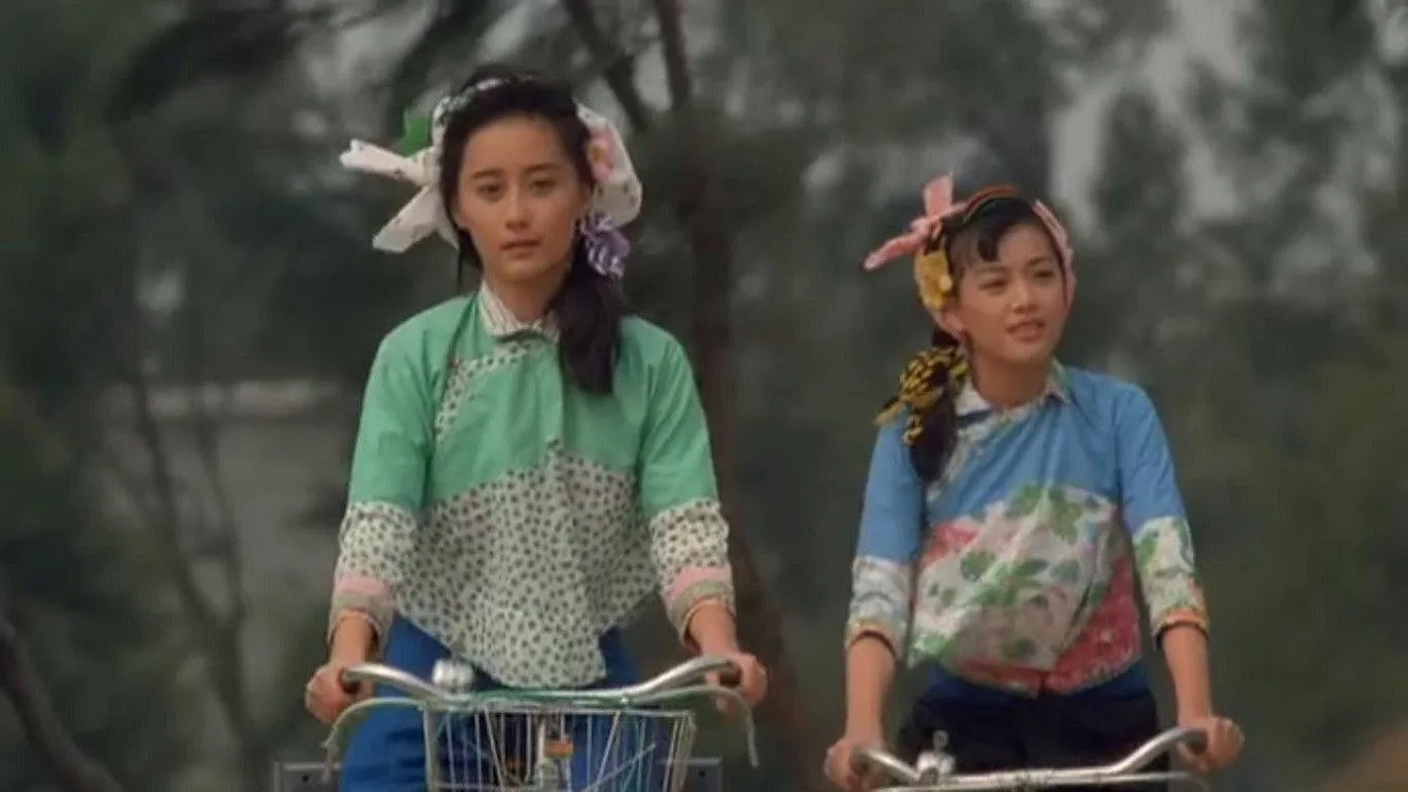 The Twin Bracelets (1991)