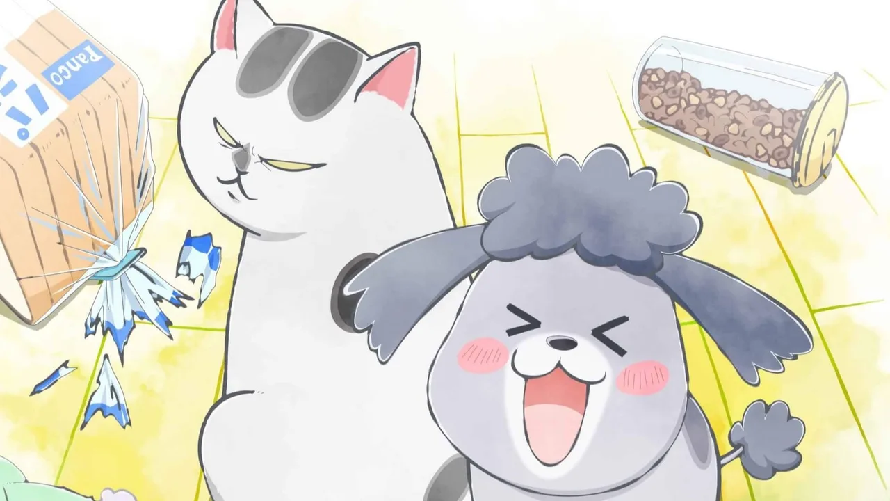 With a Dog AND a Cat, Every Day Is Fun (2020)