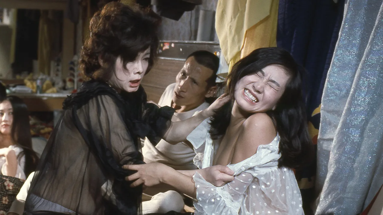Wet Lust: 21 Strippers (1974)