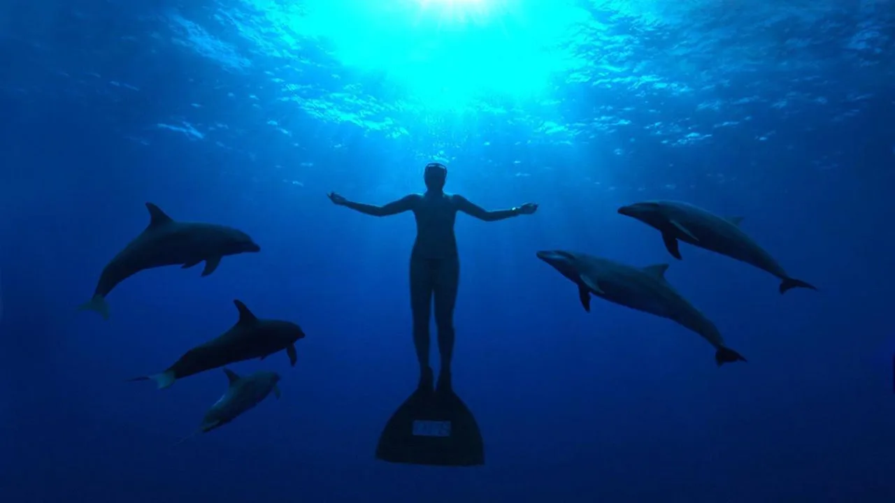 The Cove (2009)