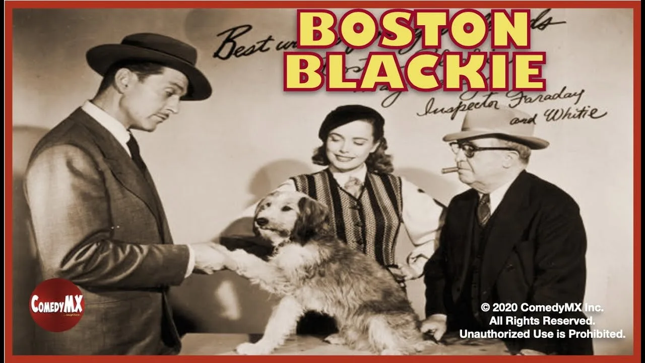 Boston Blackie (1951)