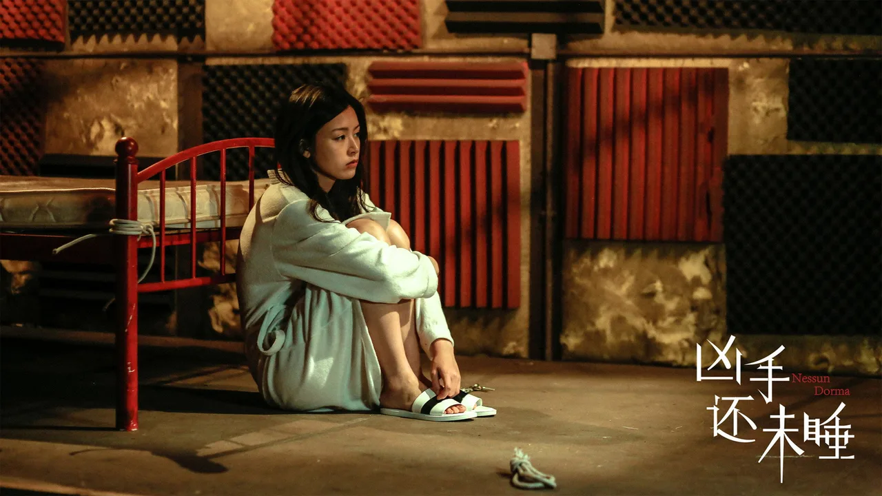 Nessun Dorma (2016)