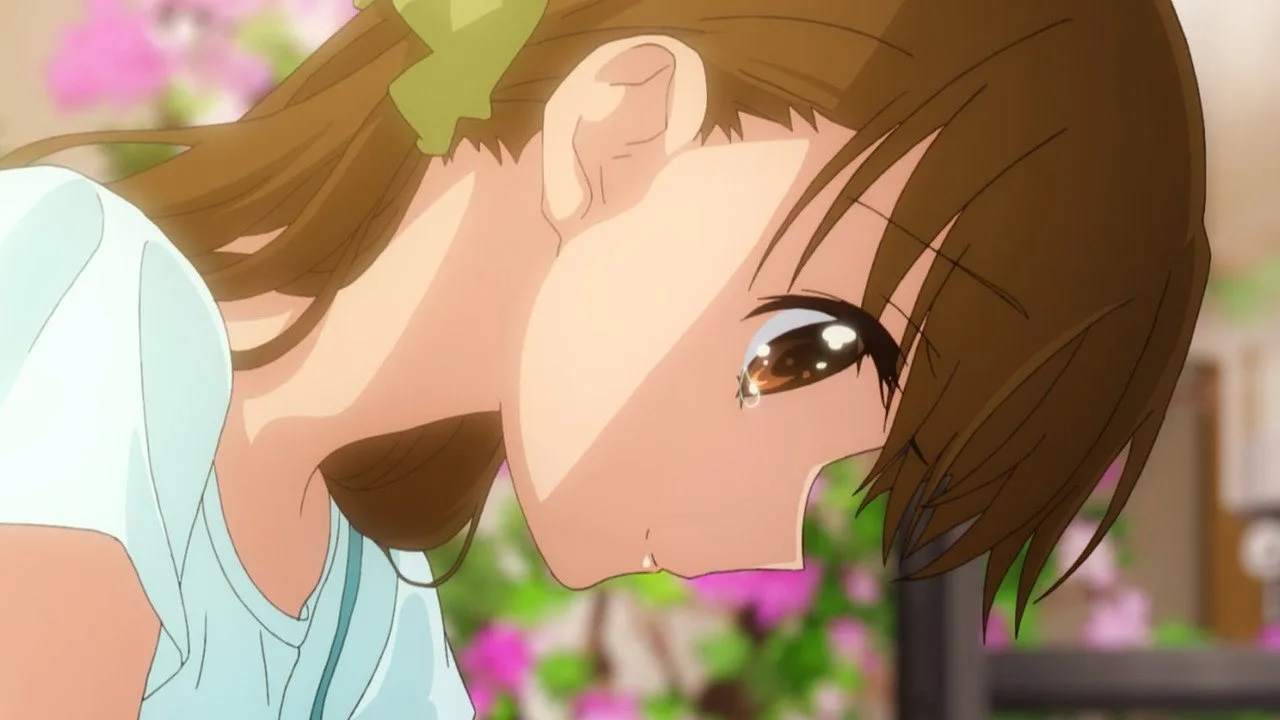 Tamayura: Graduation Photo Part 2 - Hibiki (2015)