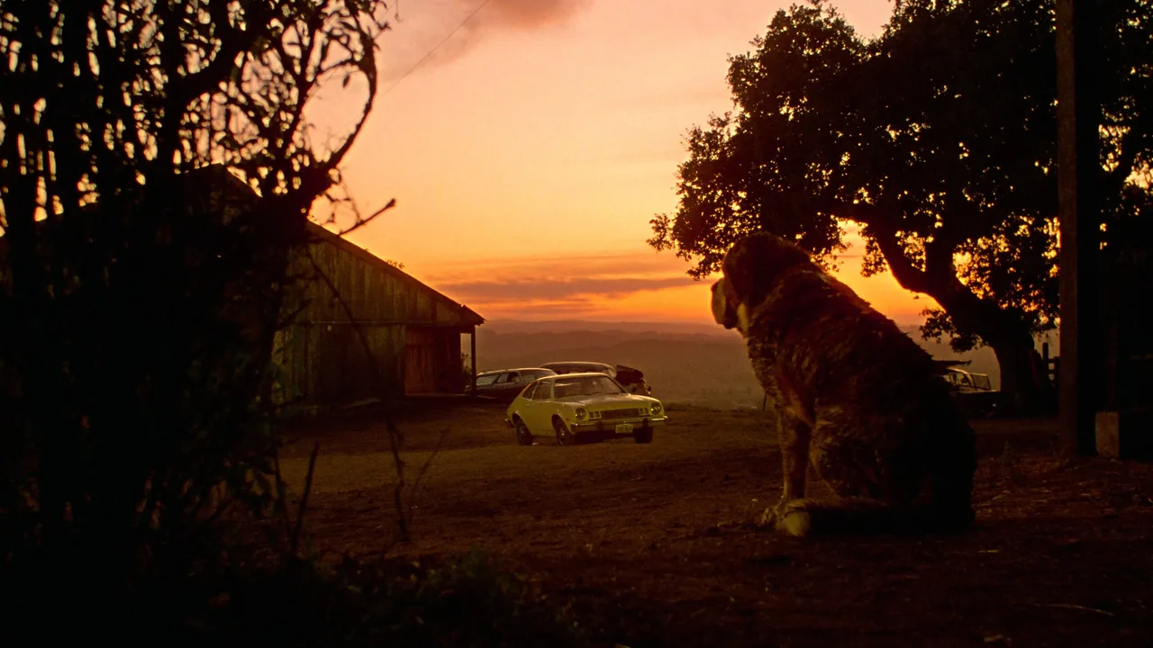 Cujo (1983)