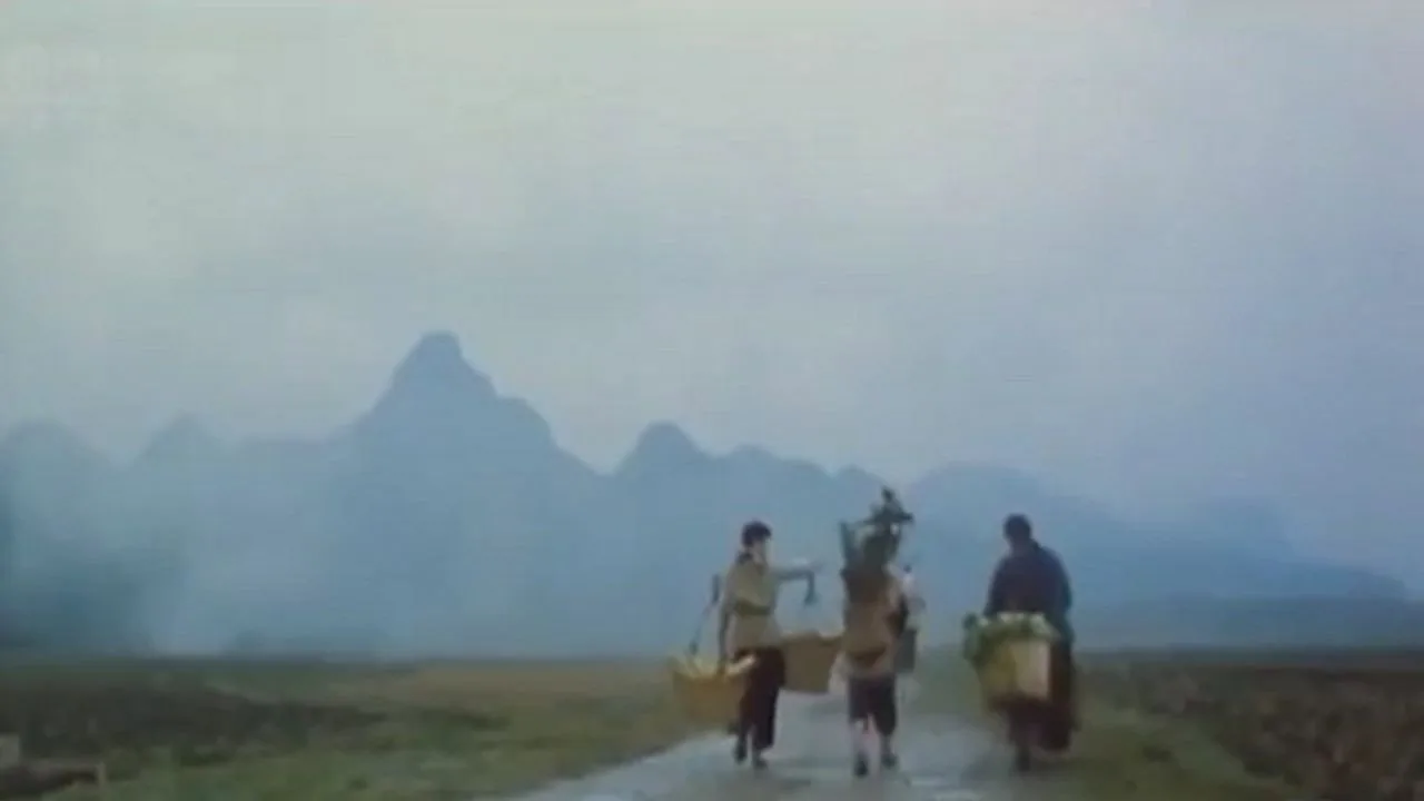 A Good Woman (1985)