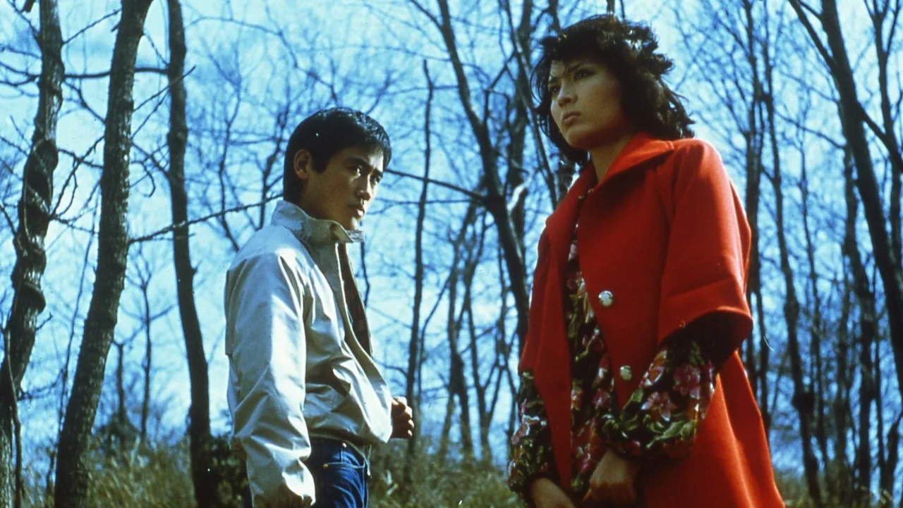 The Incident (1978)