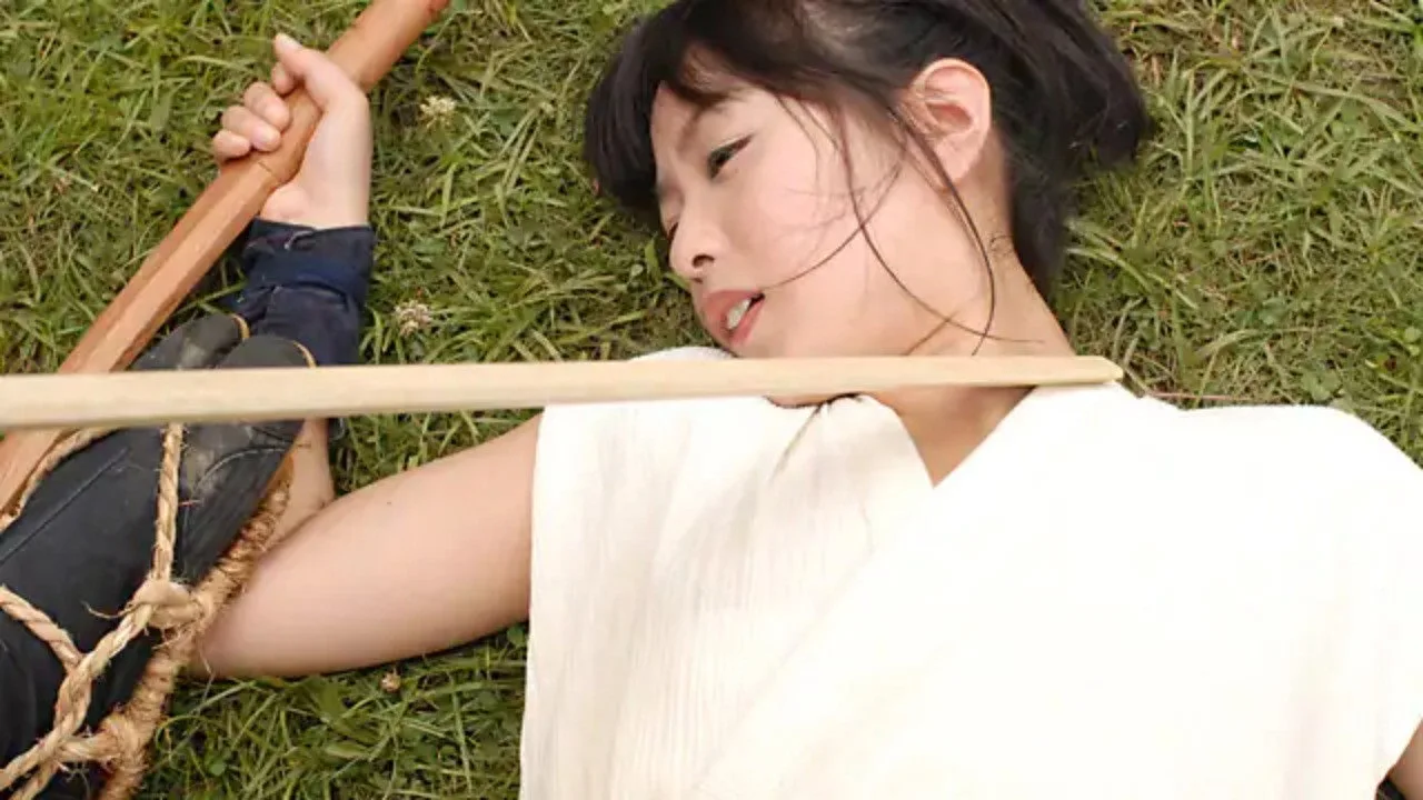 Lady Ninja Kasumi 10 (2010)