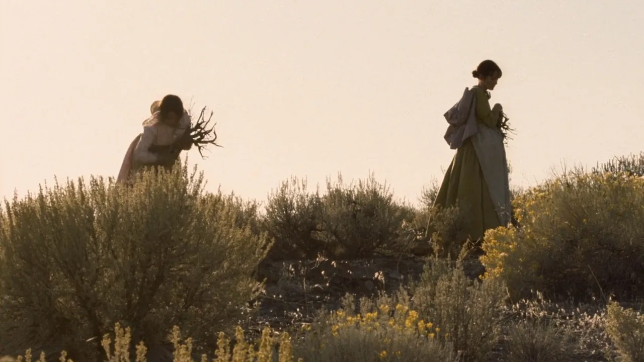Meek's Cutoff (2011)