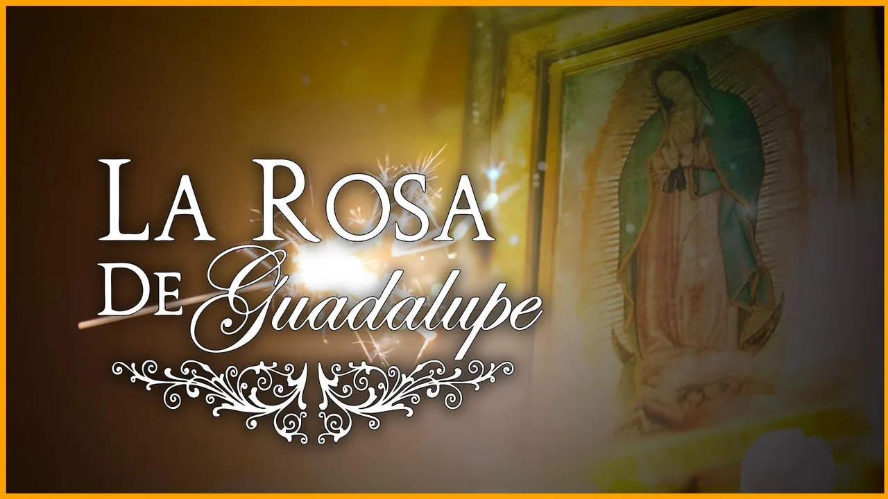 La rosa de Guadalupe (2008)