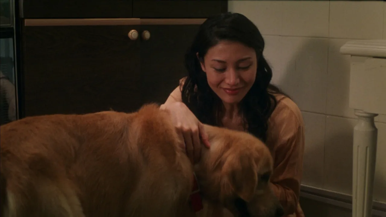 Every Dog Has His Date (2001)