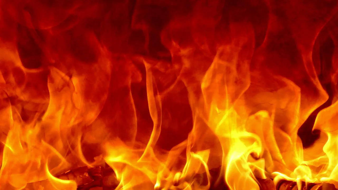 Fire (1995)