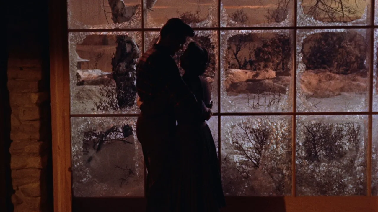 All That Heaven Allows (1955)