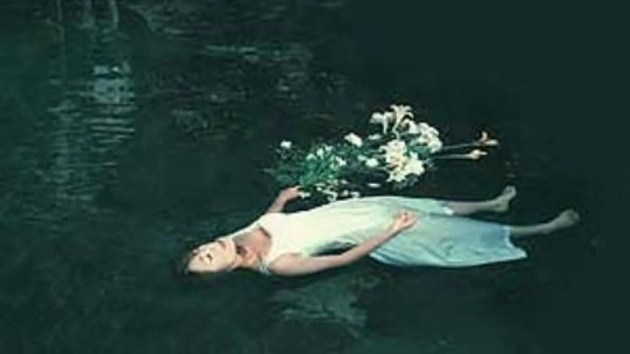Akame 48 Waterfalls (2003)