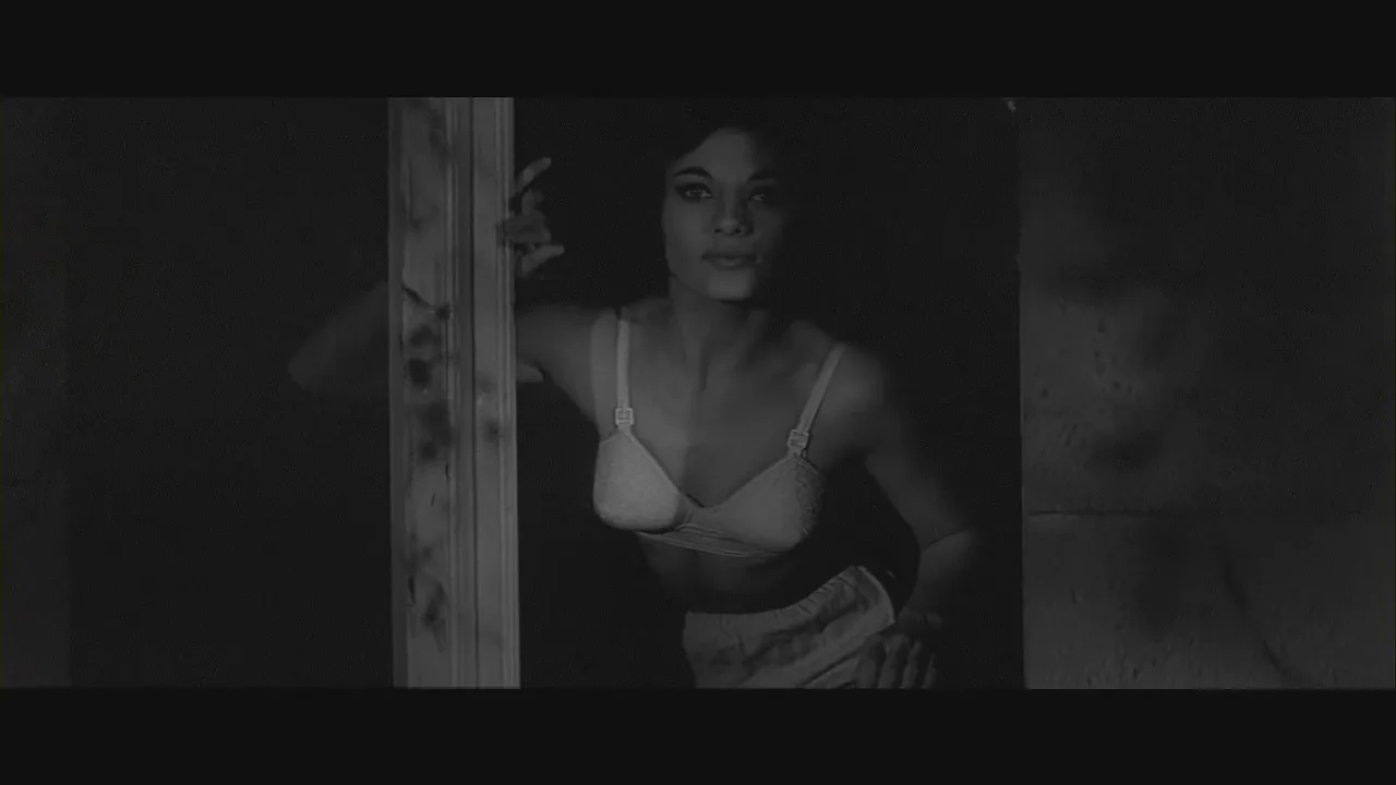 Curse of the Fly (1965)