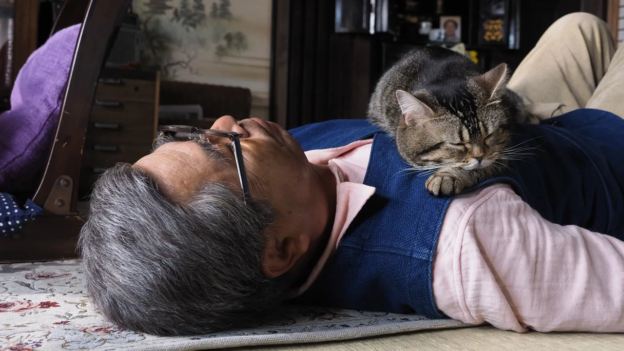 The Island of Cats (2019)