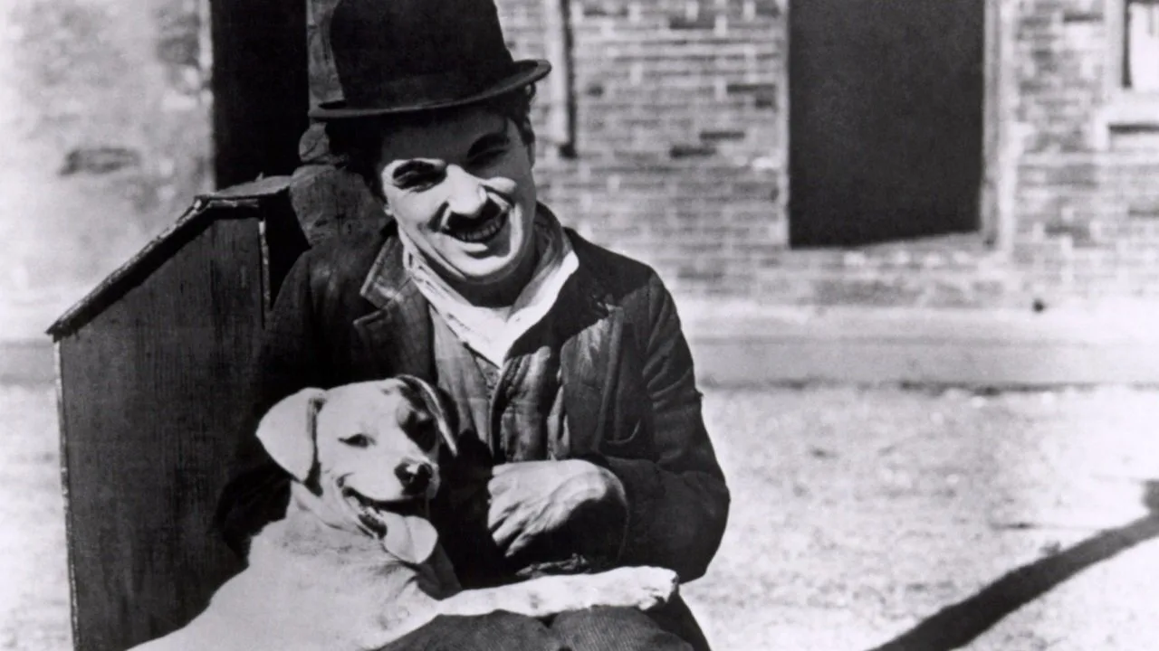A Dog's Life (1918)