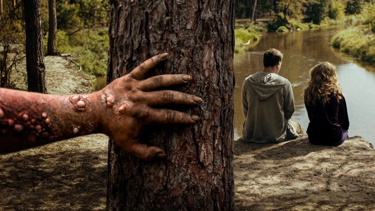 Nobody Sleeps in the Woods Tonight (2020)