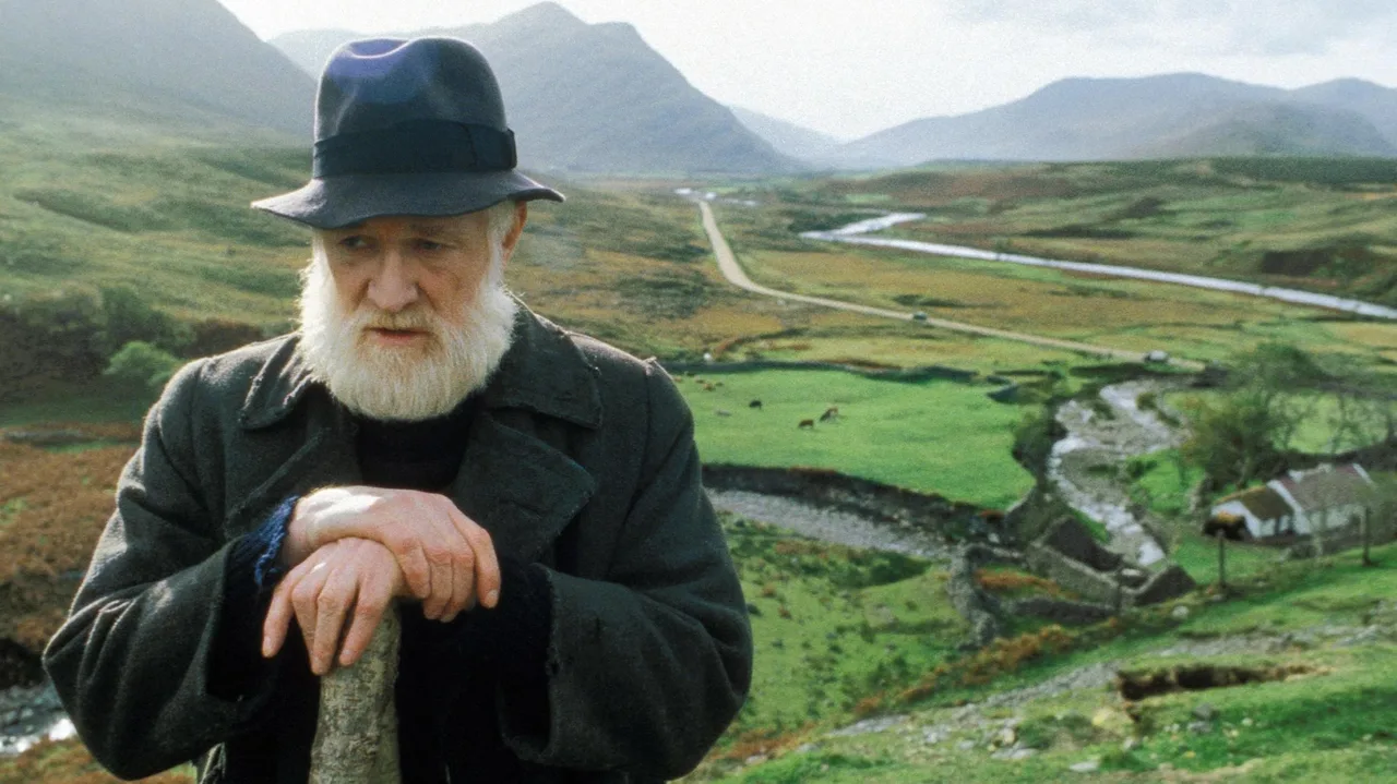 The Field (1990)