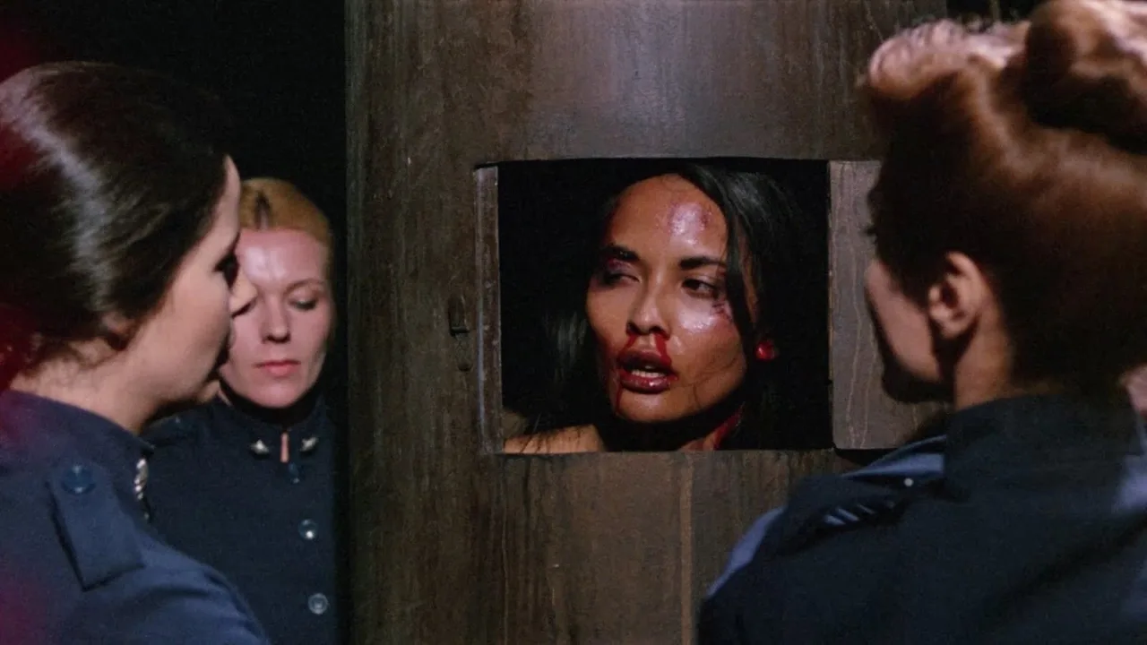 Violence in a Women's Prison (1982)