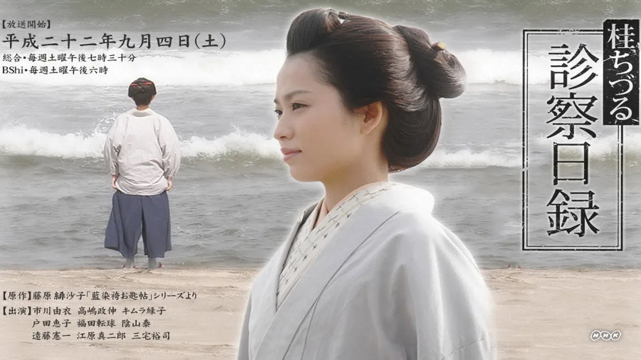 桂ちづる診察日録 (2010)