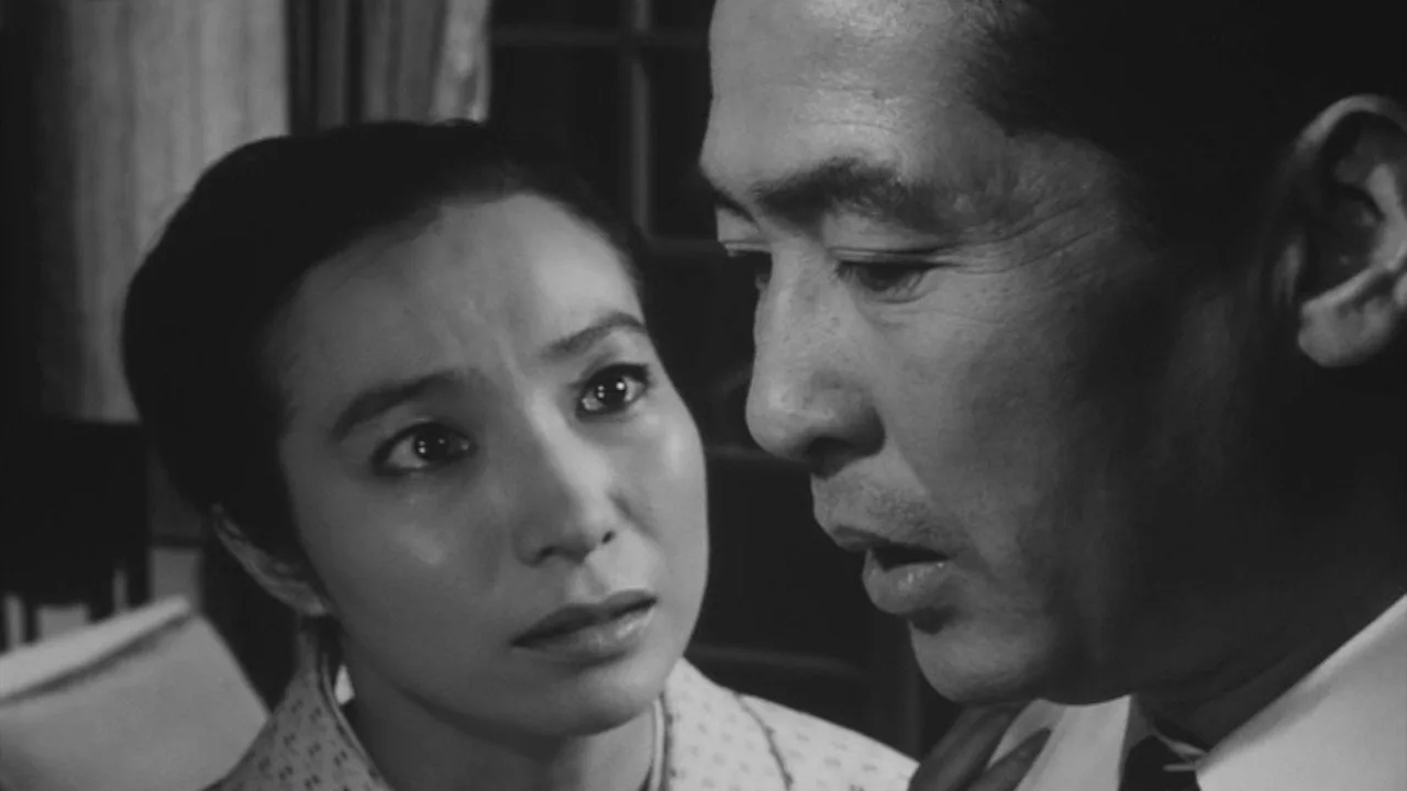 The Stranger Within a Woman (1966)