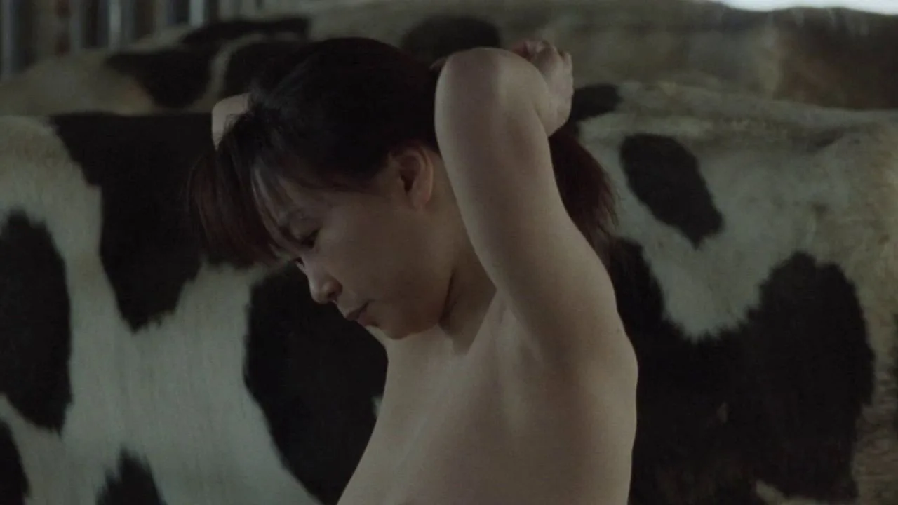 A Lonely Cow Weeps at Dawn (2003)