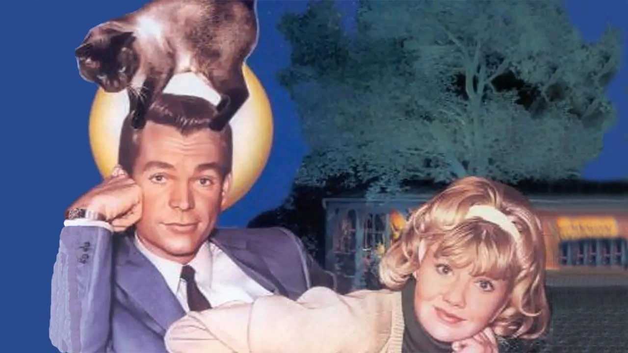 That Darn Cat! (1965)