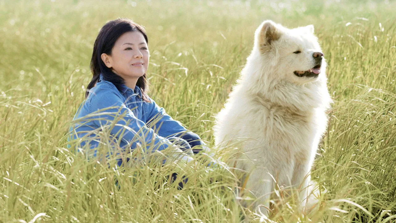 Wasao (2011)