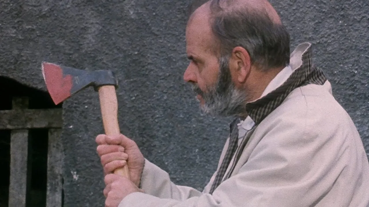 A Cat in the Brain (1990)