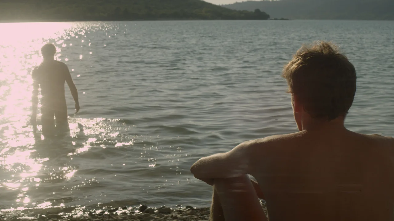 Stranger by the Lake (2013)