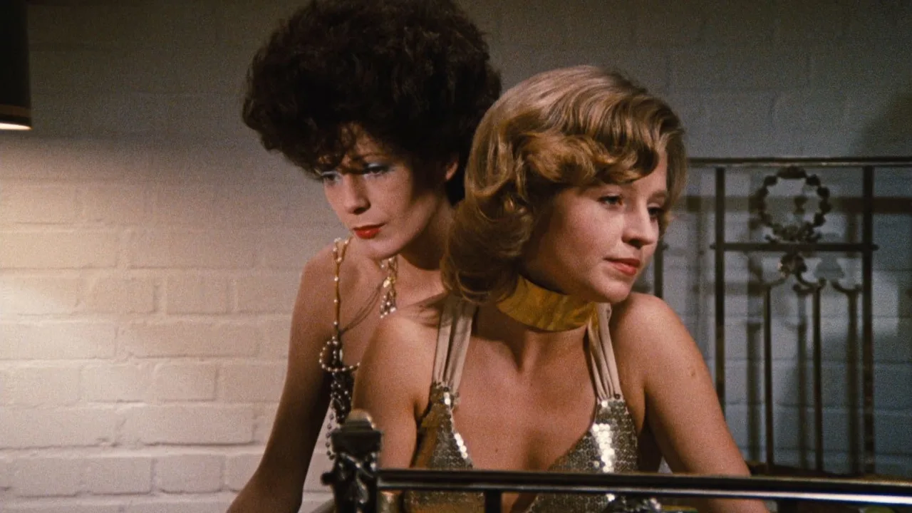 The Bitter Tears of Petra von Kant (1972)