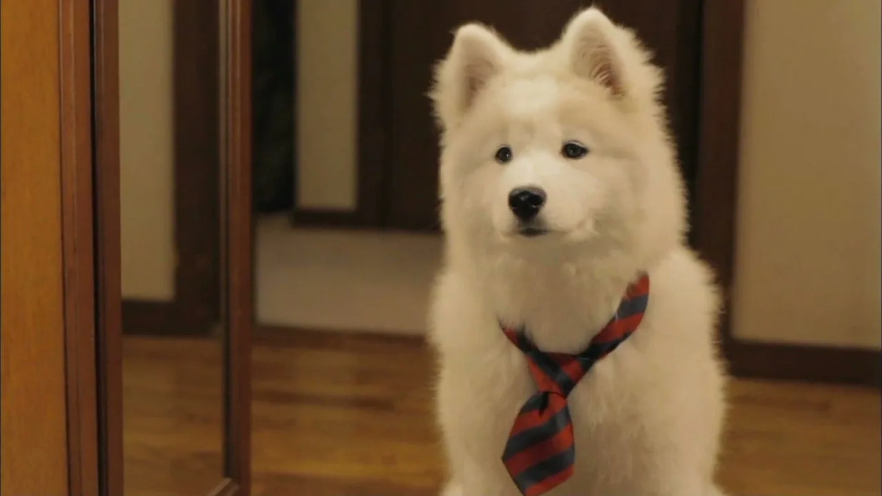 Mr. Inukai Keeps a Dog (2011)