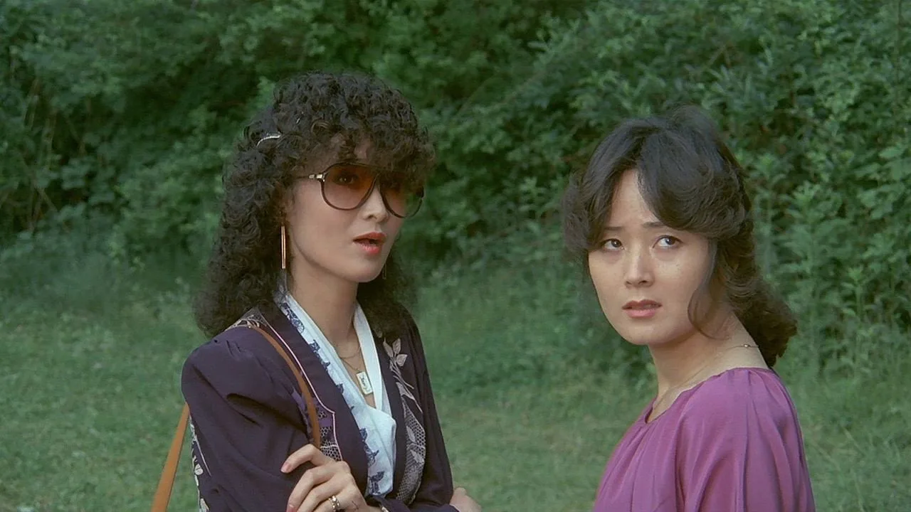 Suddenly in the Dark (1981)