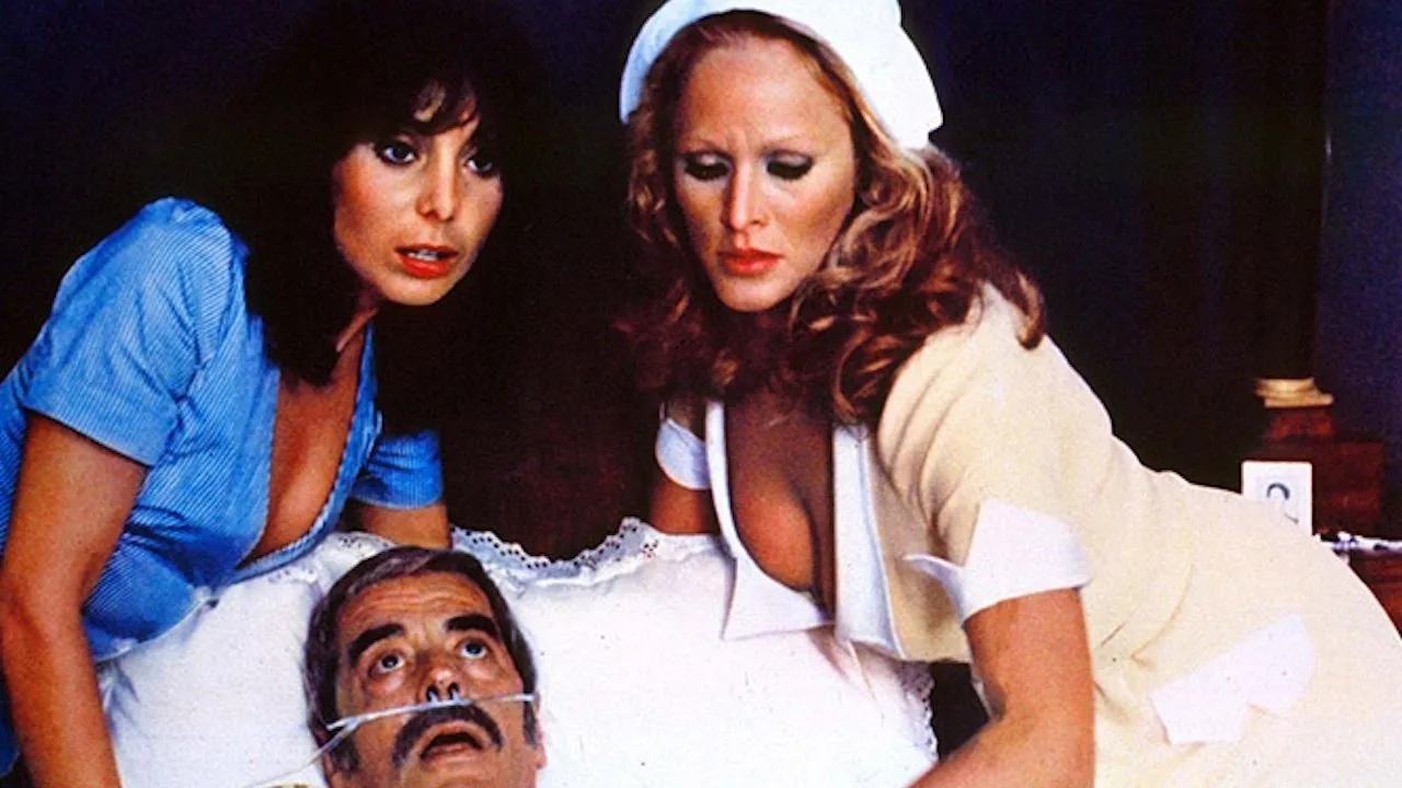 The Sensuous Nurse (1975)