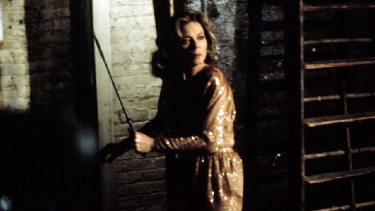 The Fan (1981)