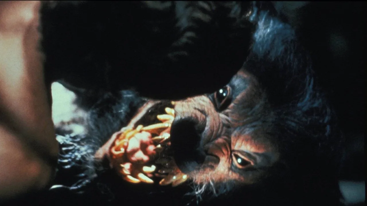 Howling V: The Rebirth (1989)