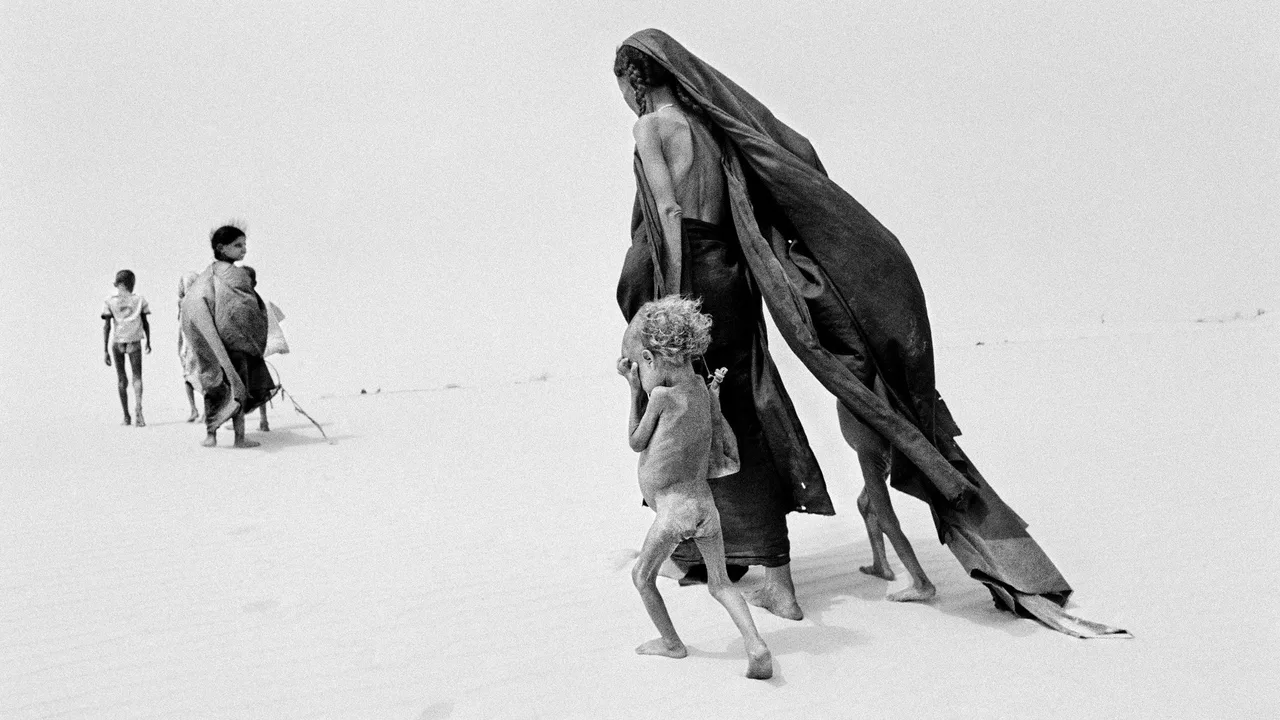 The Salt of the Earth (2014)